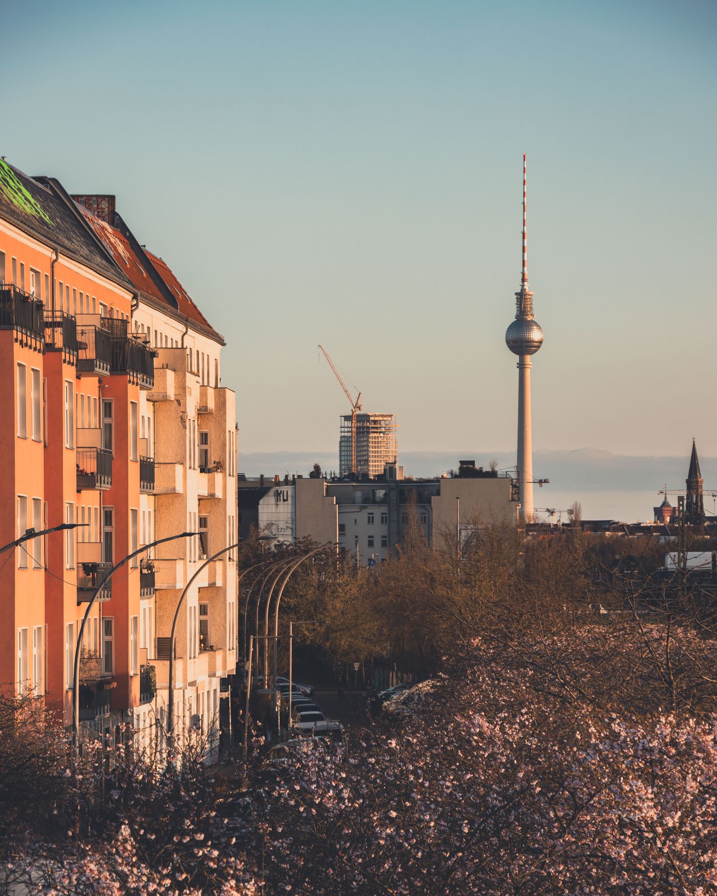 Berlin skyline with TV tower and cherry blossoms